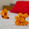 Отель Lorenzo Guest House, фото 4