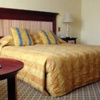 Отель Golden Horse Hotel, фото 3