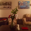 Отель Kluane Green Sprout Vacation Home, фото 3