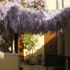 Отель Lo Squero Room and Breakfast, фото 8