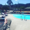 Отель Sherwood Forest Motel, фото 15