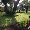 Отель Boseja Guest House, фото 15