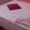 Отель Pousada & Hostel Viana Azul, фото 3