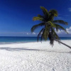 Отель Andreas Tulum Hotel, фото 8