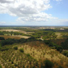Отель Agriturismo Villa Caprareccia, фото 4