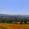 Отель L'Oro di Cicognola, фото 9