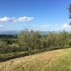 Отель Agriturismo Il Gonzeto, фото 5