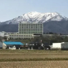 Отель Ryotsu Yamaki Hotel, фото 19