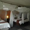 Отель Damfela Eco Lodge, фото 4