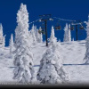 Отель Ski Time Square - ST106, фото 5