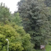 Отель B&B Bergzicht, фото 9