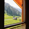 Отель AlpenApart Montafon - Bitschweil Hüsle, фото 8