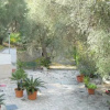 Отель Villa Pineta, фото 5