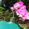 Отель Paradise Pool Home, фото 7