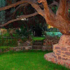 Отель B&B Il Giardino Dacri, фото 9