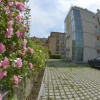 Отель Zevs Residence, фото 5