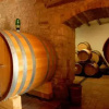 Отель Agriturismo Buondonno, фото 9