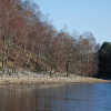 Отель Birnam Guest House, фото 17