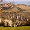 Отель Agriturismo Castelli In Aria, фото 9
