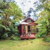Отель Ferny Hollow: Romantic Rainforest Cottage в Волкано