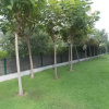 Отель Apartamentos Boulevard Family, фото 8