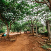 Отель Jain Farms and Resorts, фото 26