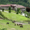 Отель Agriturismo Gallo, фото 12