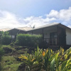 Отель Hareswiss Easter Island Bungalows, фото 5