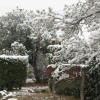 Отель Cabañas Los Almendros - Complejo AP, фото 4