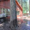 Отель The Bernstein Bear Cabin - 2 Br Cabin, фото 9