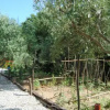 Отель Agriturismo Casa Gioffrè, фото 6