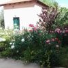 Отель Villa Alma, фото 2