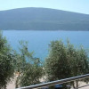 Отель Apartments Villa Danilovic, фото 15