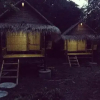 Отель Cool Bananas Homestay, фото 3