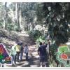 Отель Cabañas en Parque EcoTuristico El Ocote, фото 4
