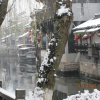 Отель Xitang Yinshuijing Inn, фото 7