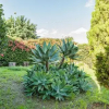 Отель Villa Ginevra, фото 8