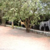 Отель Dian Fossey Nyiramacibir Hotel, фото 25