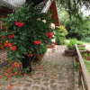 Отель Cabañas Mirasoles, фото 5