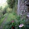 Отель Moulin De Cornevis Bed and Breakfast, фото 7