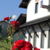 Отель Gea Bed and Breakfast, фото 1