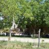 Отель Agriturismo Su Pinnettu, фото 2