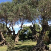 Отель Villa Lucia, фото 8