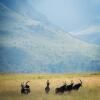 Отель Mount High Luxury Country Lodge, фото 17