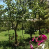 Отель Red Rose Guest House, фото 4
