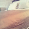 Отель B&B Stone Town, фото 2
