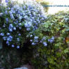 Отель Typique Maison De Pêcheurs, фото 12