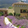 Отель The Garden House, фото 7