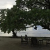 Отель Tifaifai Et Café Huahine, фото 4