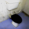 Отель Yoho Randima Homestay, фото 1